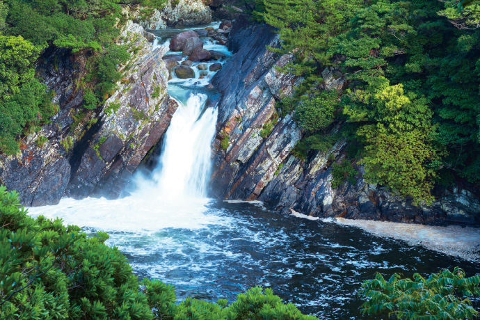 写真:原生林の間を流れている川